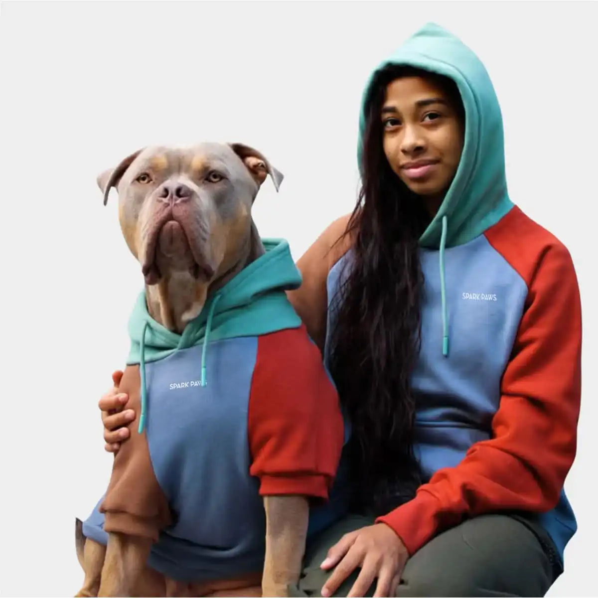 Alpine Human Hoodie