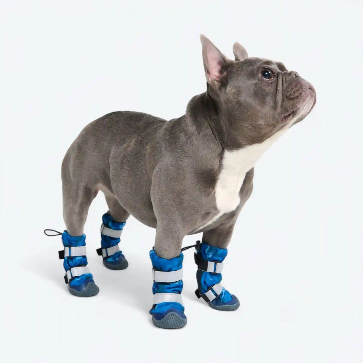 Dog Rainboots, Waterproof Dog Shoes - Blue Camo