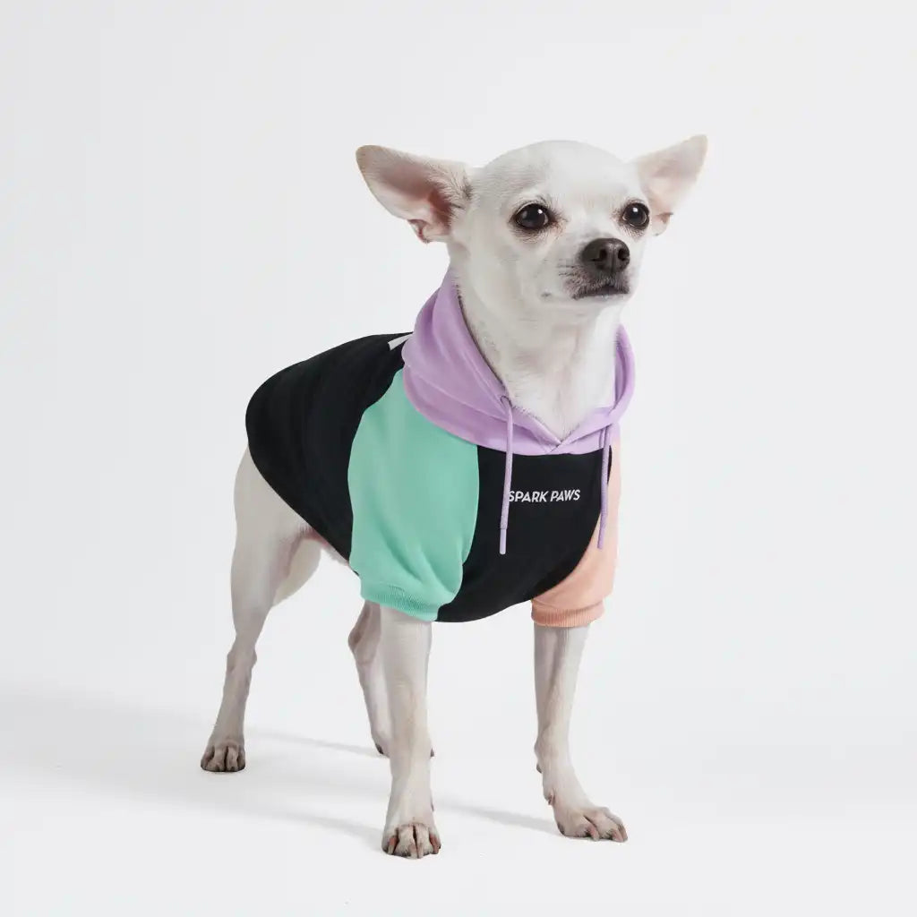 Color Block Dog Hoodies