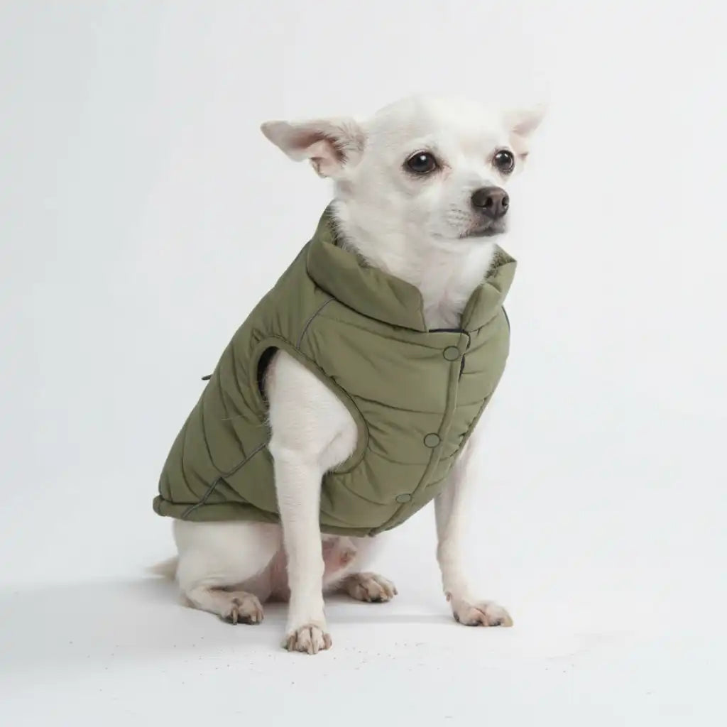 WarmShield Water-Resistant Jacket - Olive