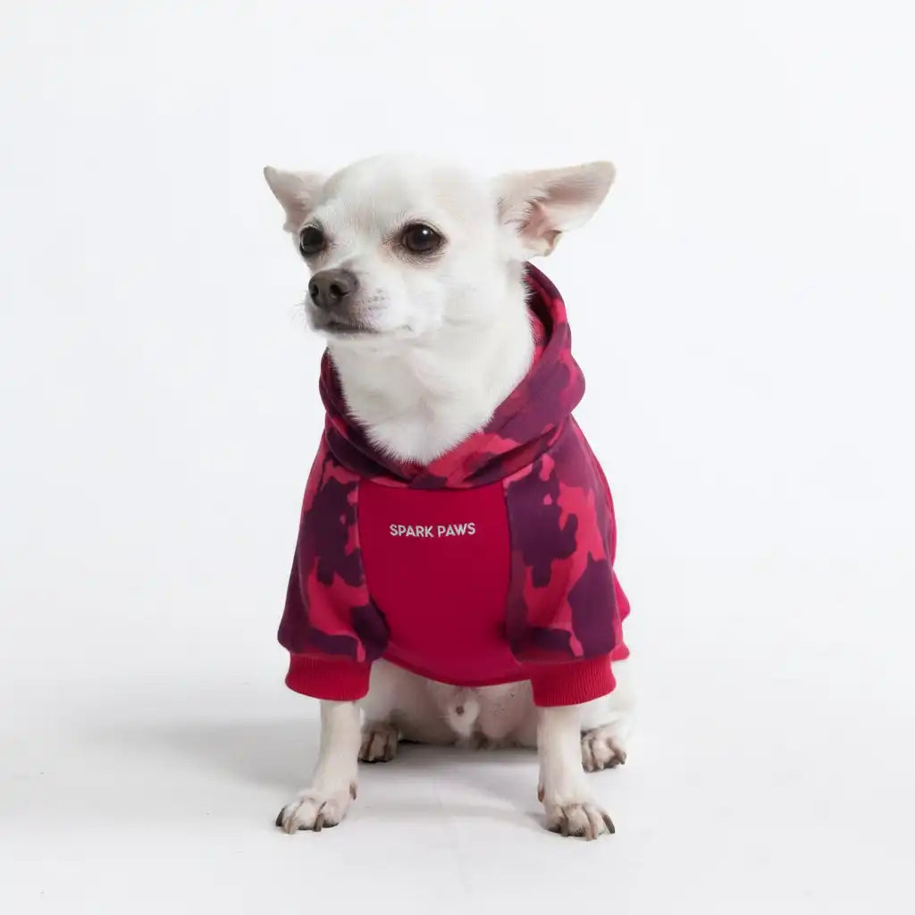 Fuchsia Camo Dog Hoodie