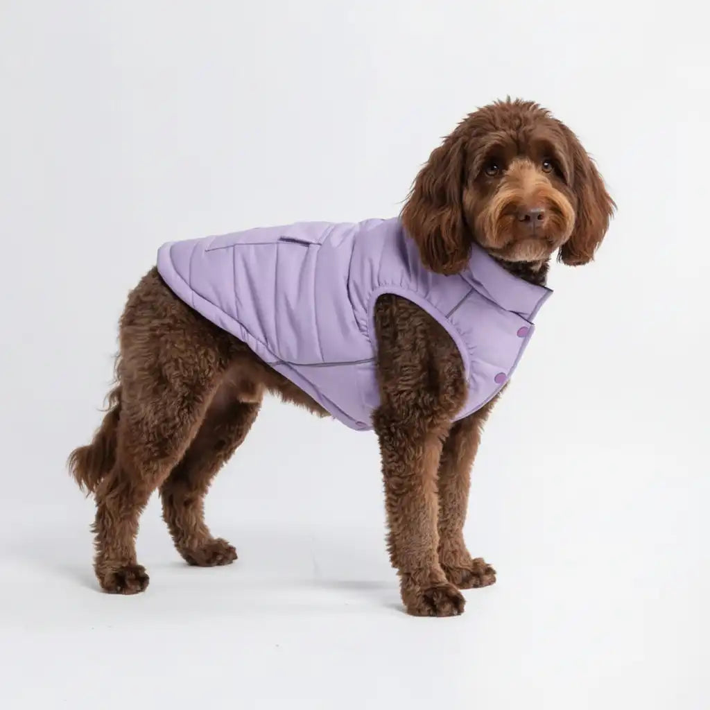 WarmShield Water-Resistant Jacket - Lilac