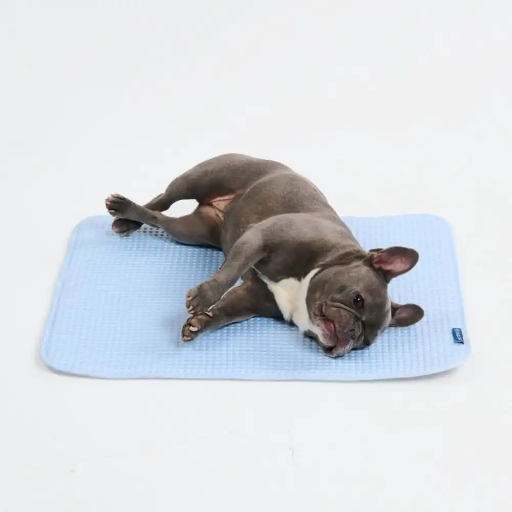 Frostcore™ Cooling Mat - Waffle Blue