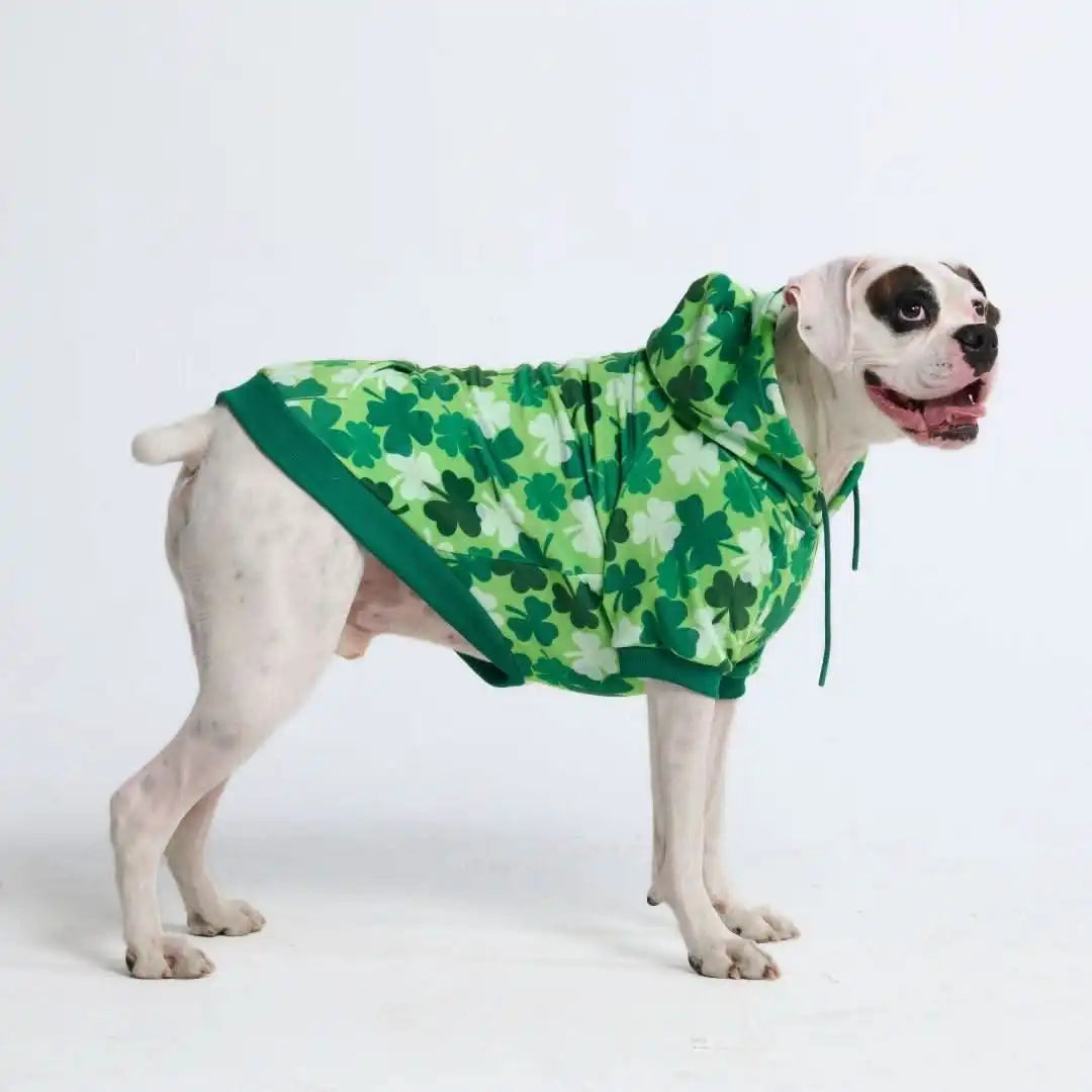 St. Paddy's Dog Hoodie - Shamrocks (Limited Edition)
