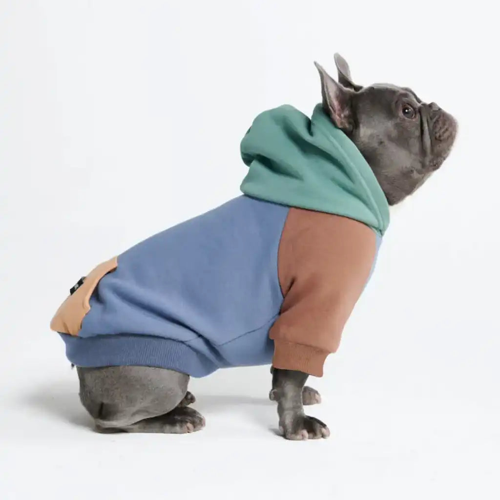 Alpine Dog Hoodie