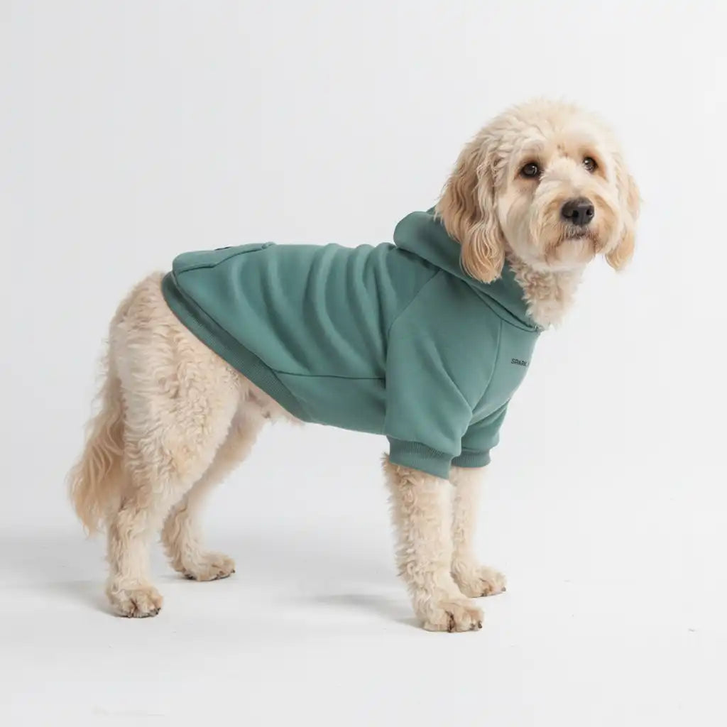 Essential Dog Hoodies