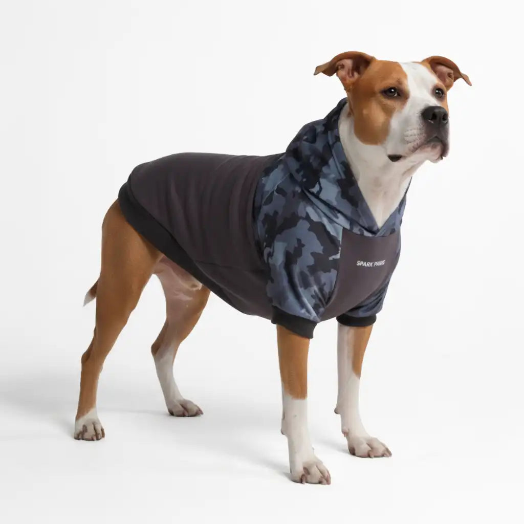 Grey Camo Dog Hoodie