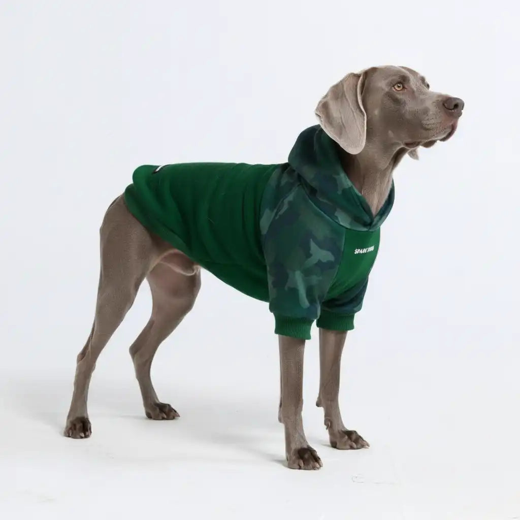 Forest Camo Dog Hoodie