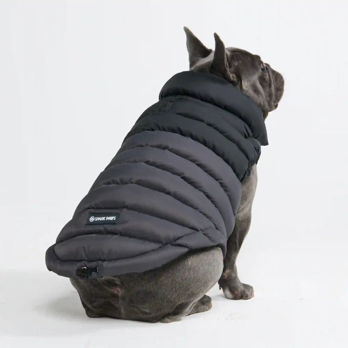 PuffShield Winter Jacket - Black