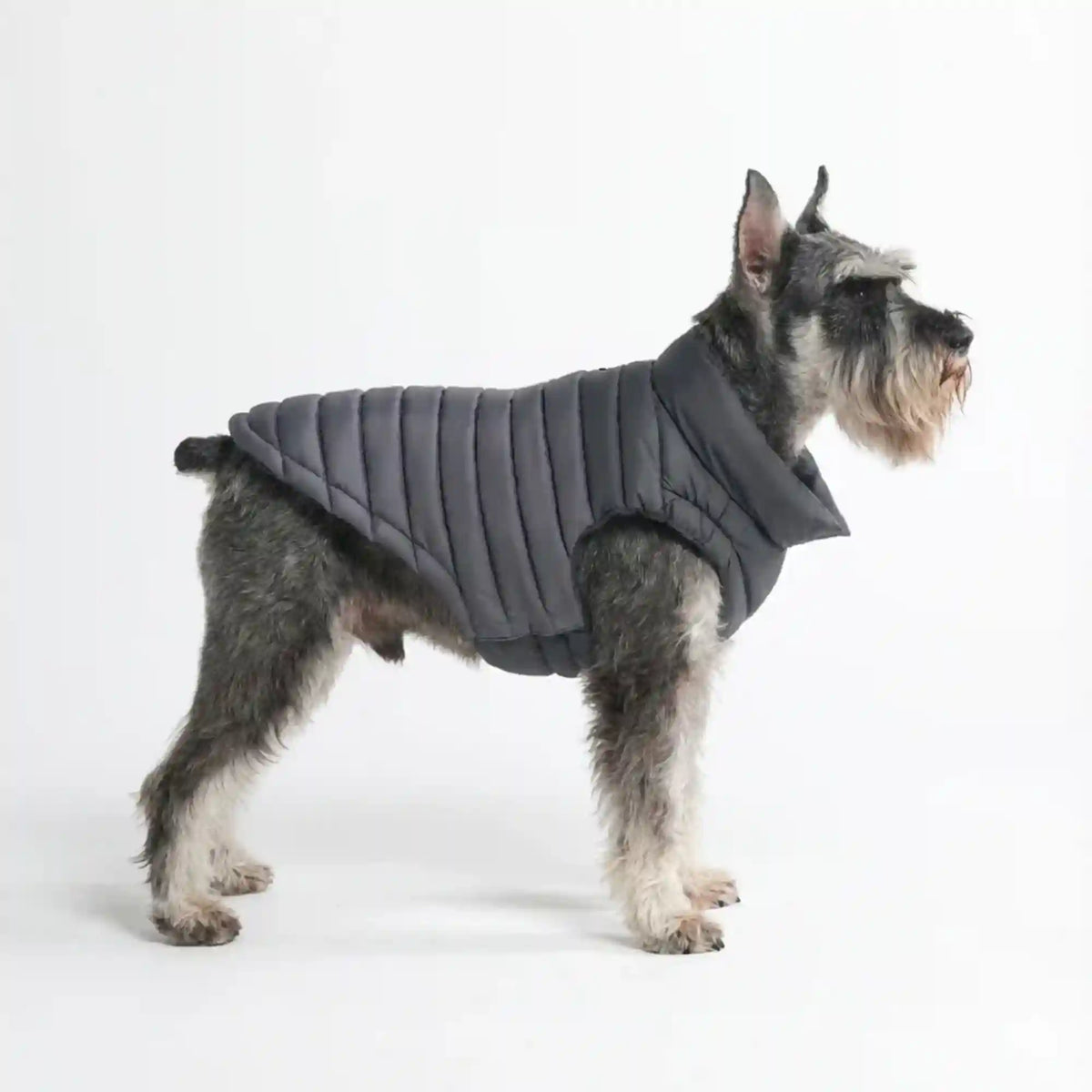 PuffShield Winter Jacket - Black