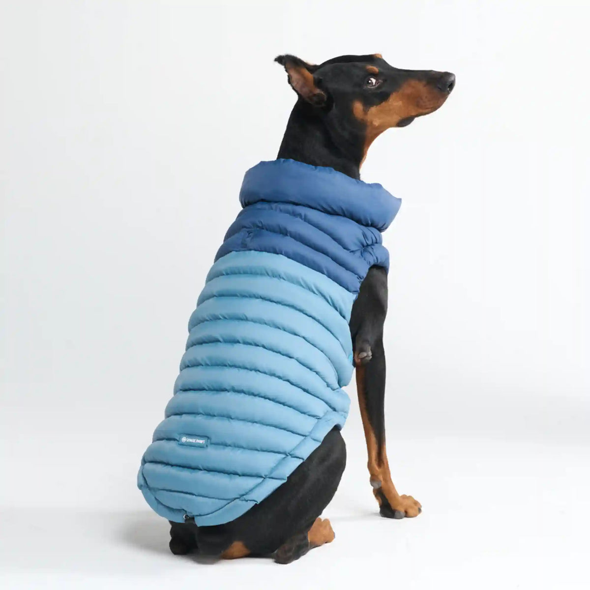 PuffShield Winter Jacket - Blue