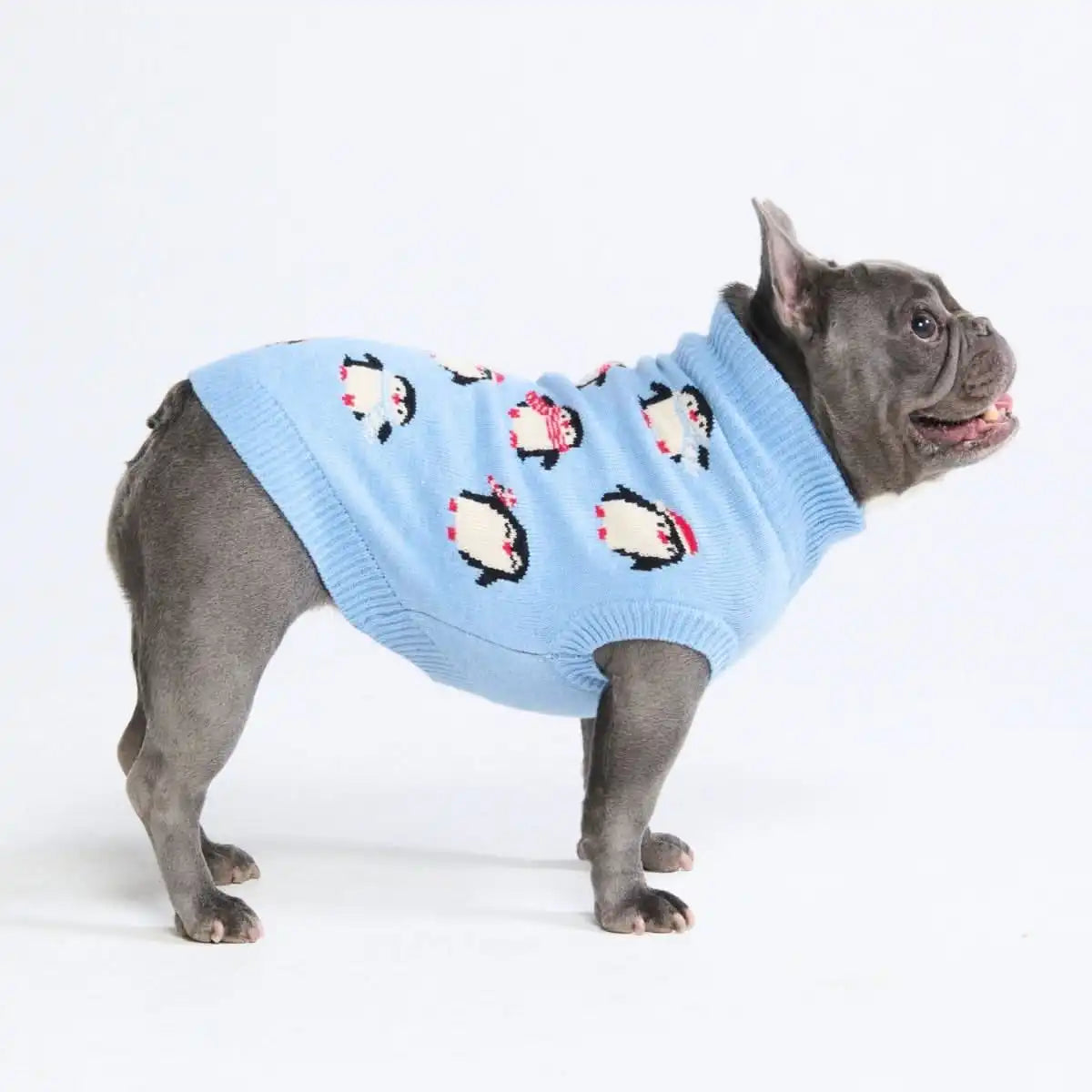 Dog Sweater - Penguins