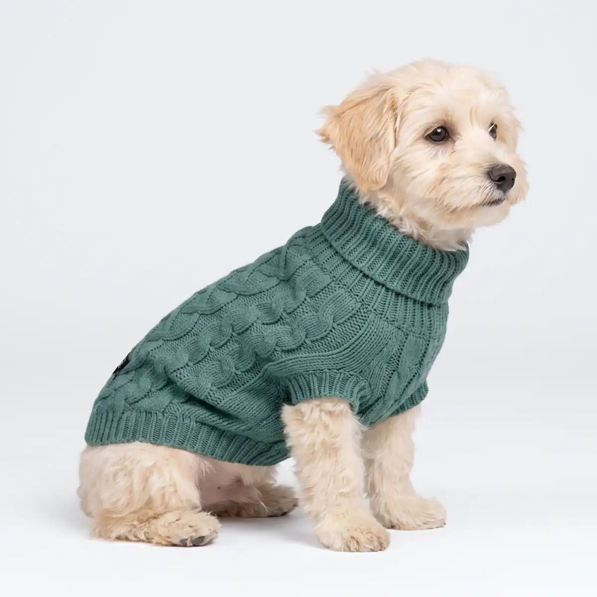 Cable Knit Dog Sweater - Pine Green