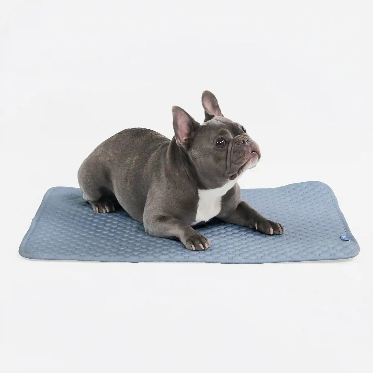 Frostcore™ Cooling Mat - Ash Blue
