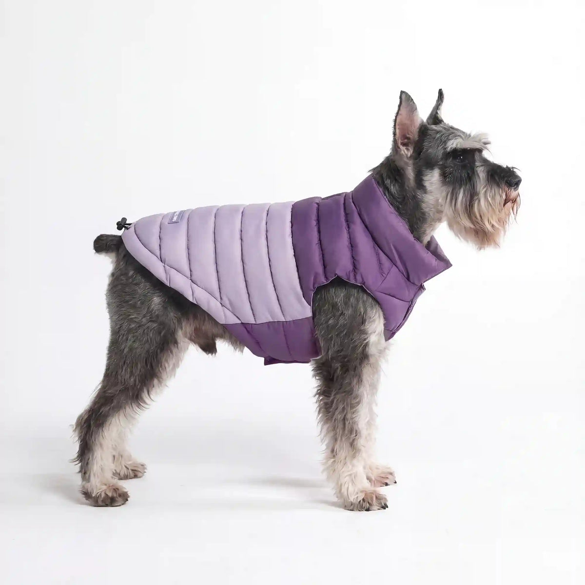 PuffShield Winter Jacket -  Purple