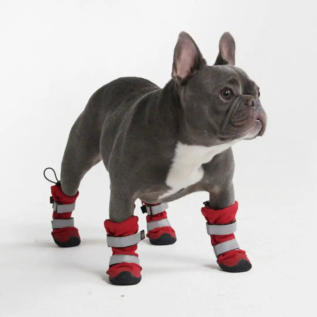 Flex Shell Waterproof Dog Boots - Red