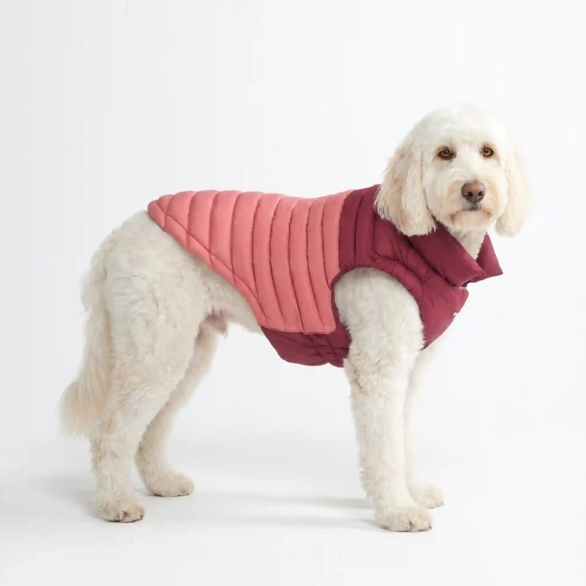 PuffShield Winter Jacket - Red