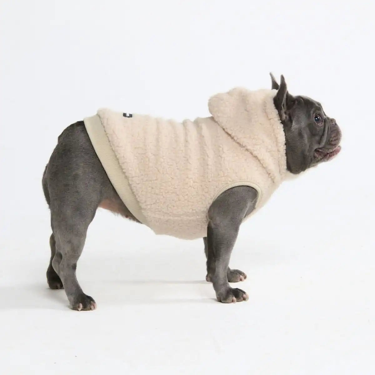 Teddy Sherpa Dog Jacket - Beige
