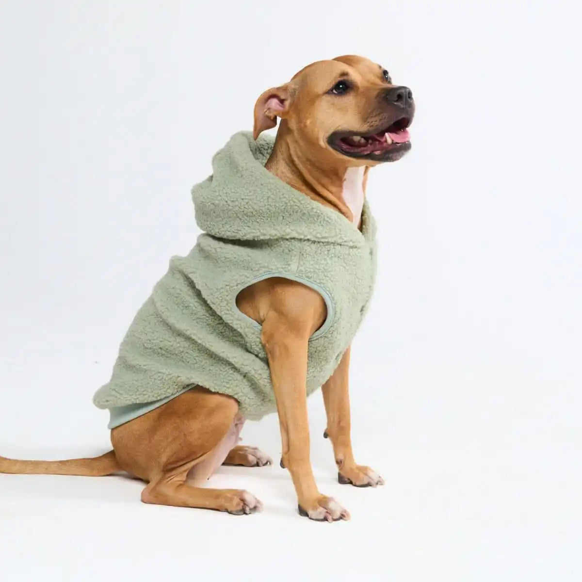 Teddy Sherpa Dog Jacket - Light Green