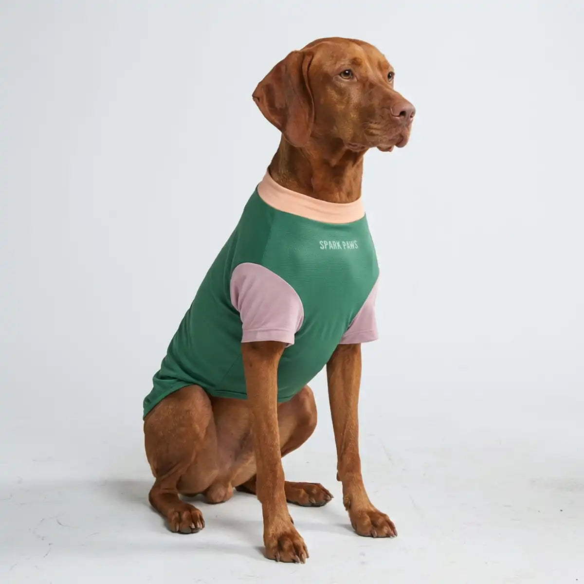 Sunblock Dog T-Shirt - Pistachio