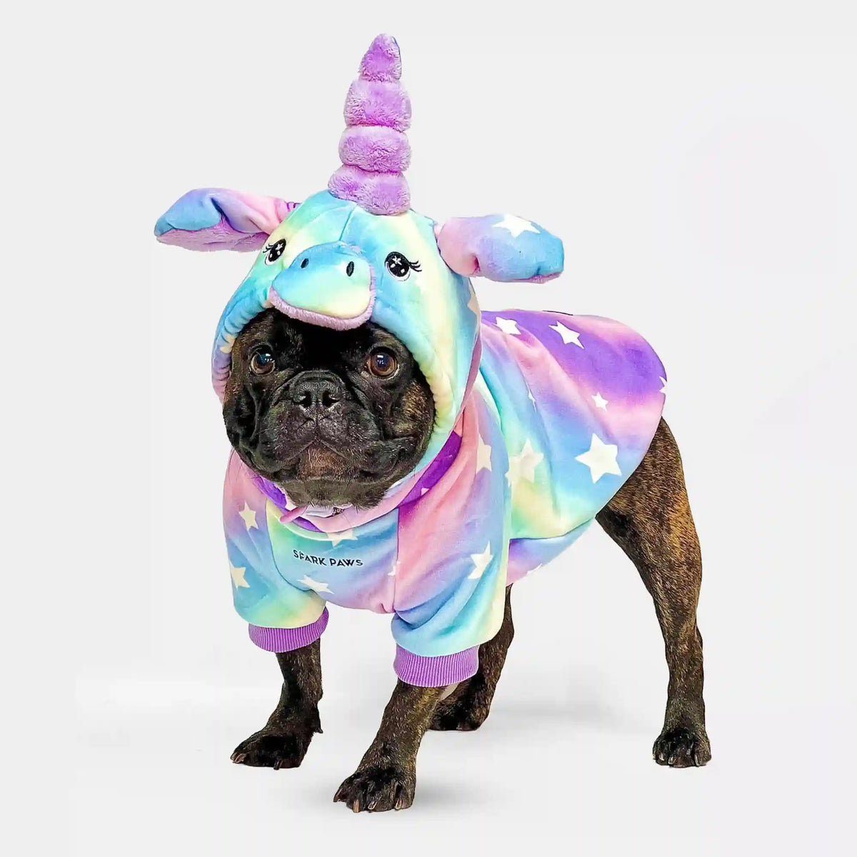 Halloween Dog Hoodies (Limited Edition)