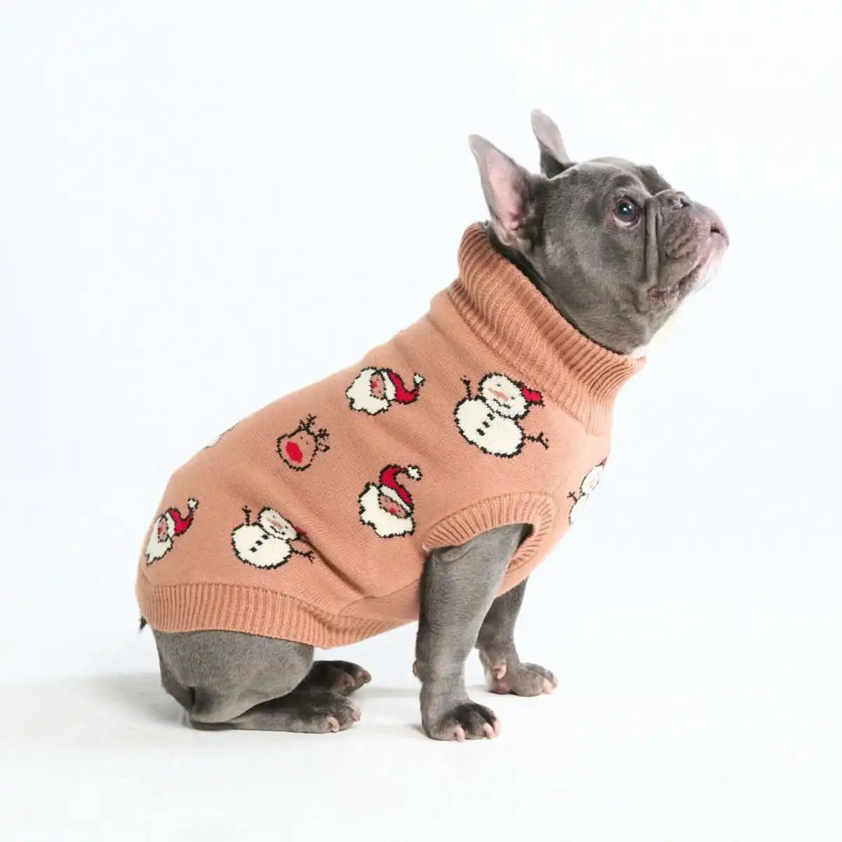 Christmas Knit Dog Sweater - Santa & Rudolph