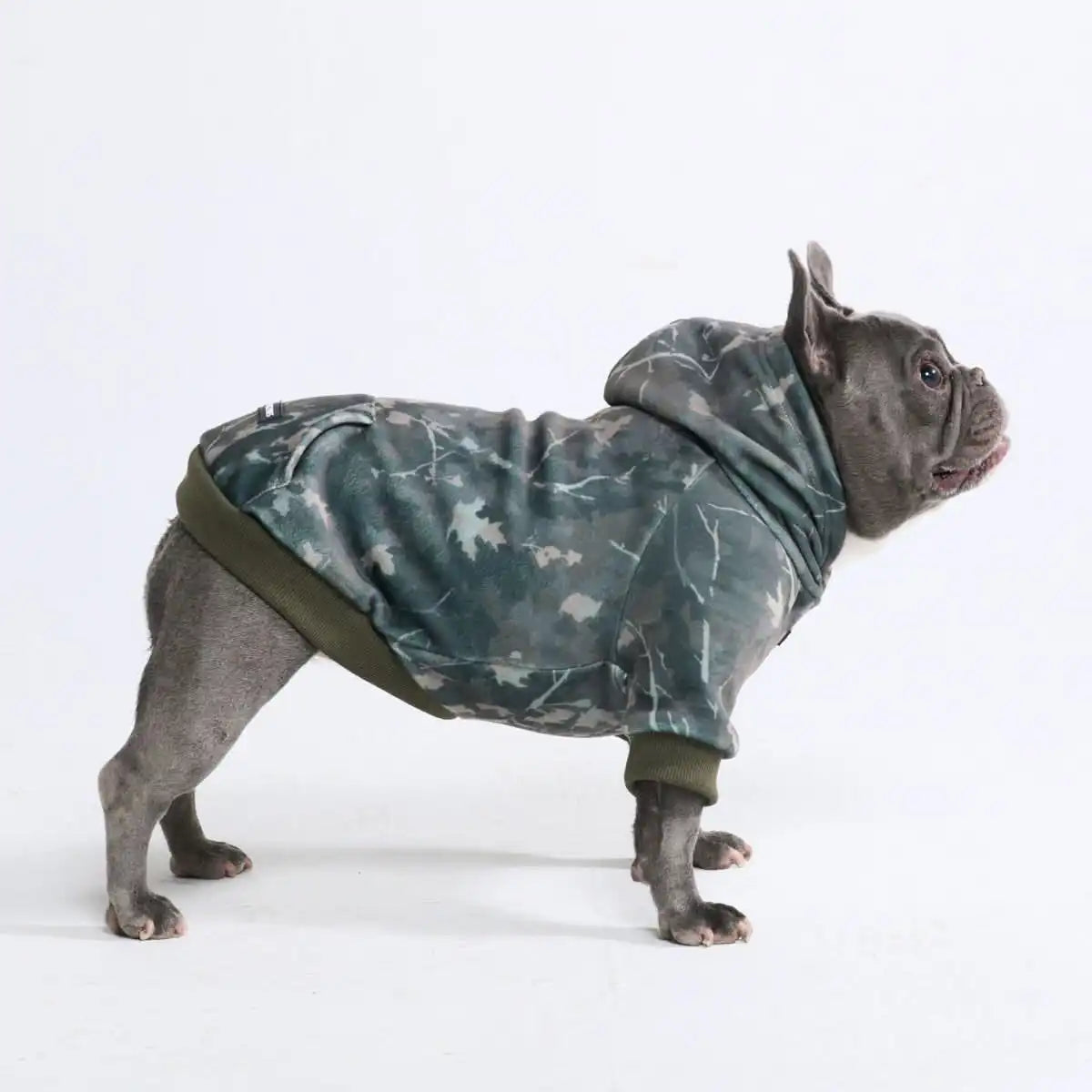 Concrete Wood Dog Hoodie - Timber