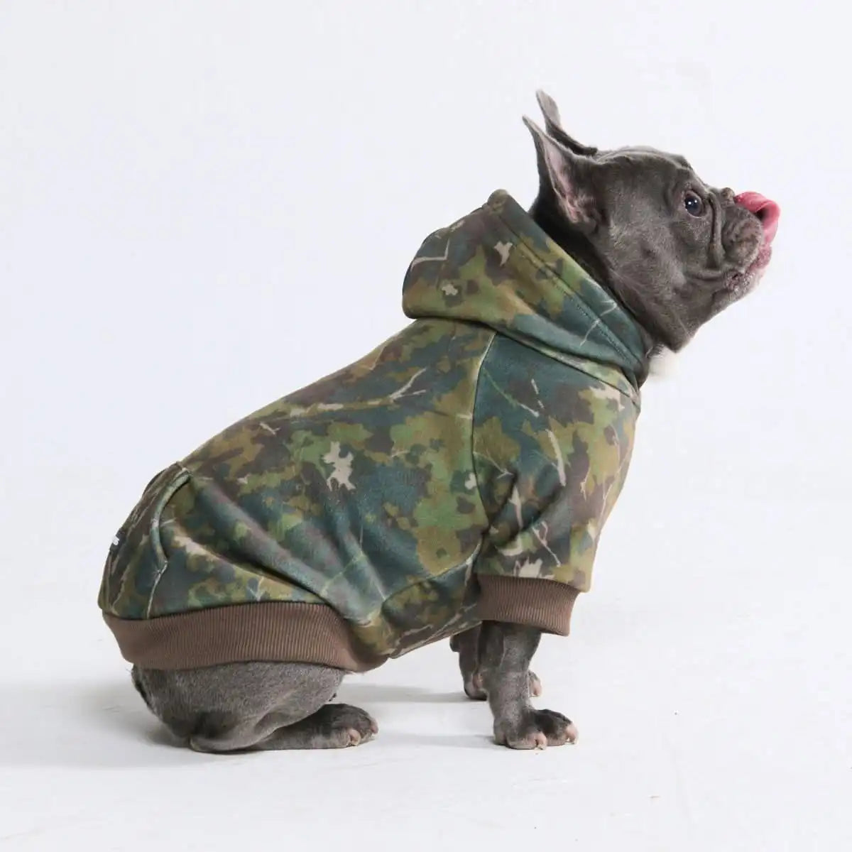 Concrete Wood Dog Hoodie - Moss