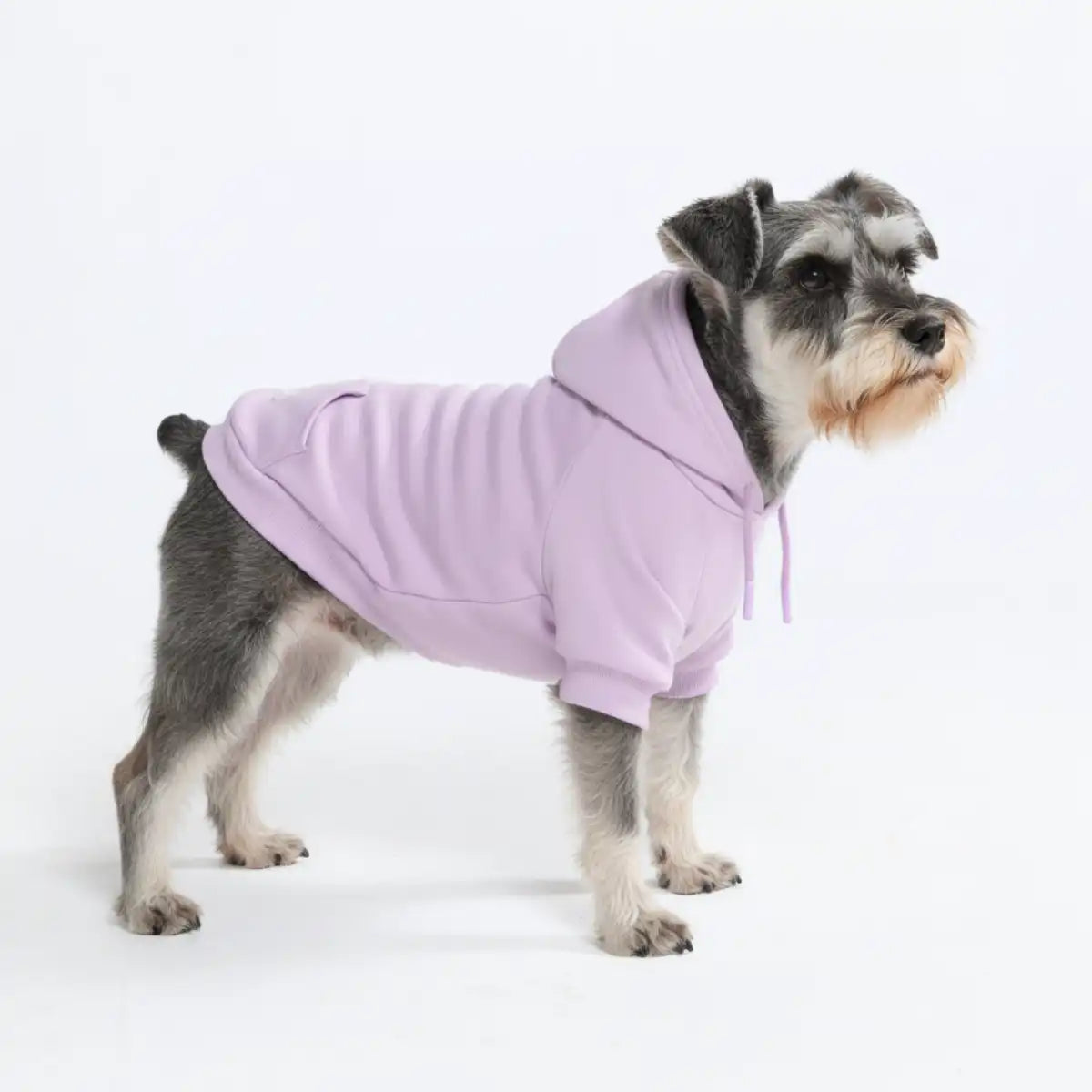Essential Dog Hoodie - Lavender