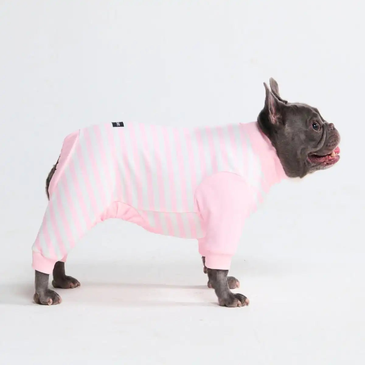 Dog Pajama - Pink Stripes