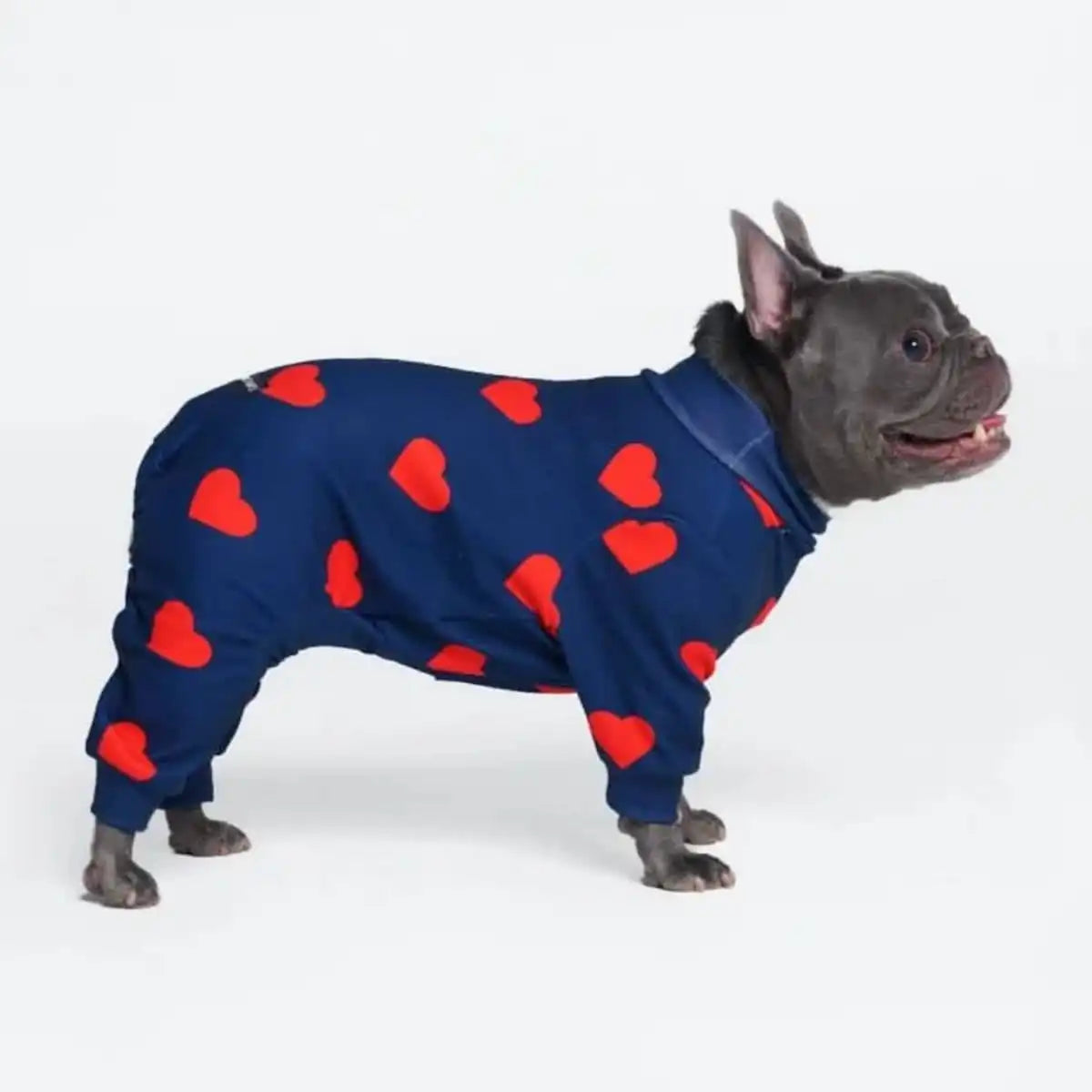 Dog Pajama - Hearts