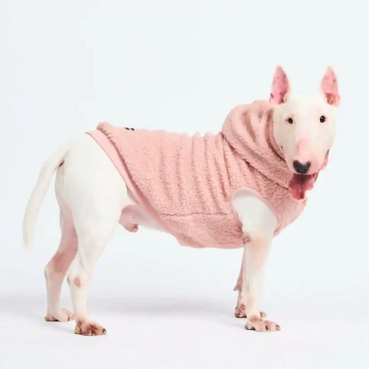 Teddy Sherpa Jacket - Pink