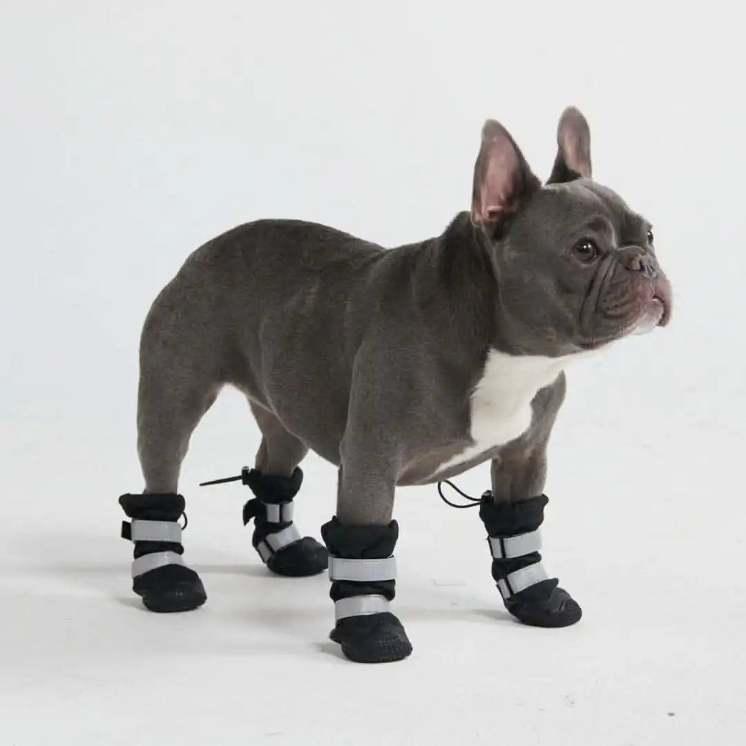 Dog Rainboots, Waterproof Dog Shoes - Black