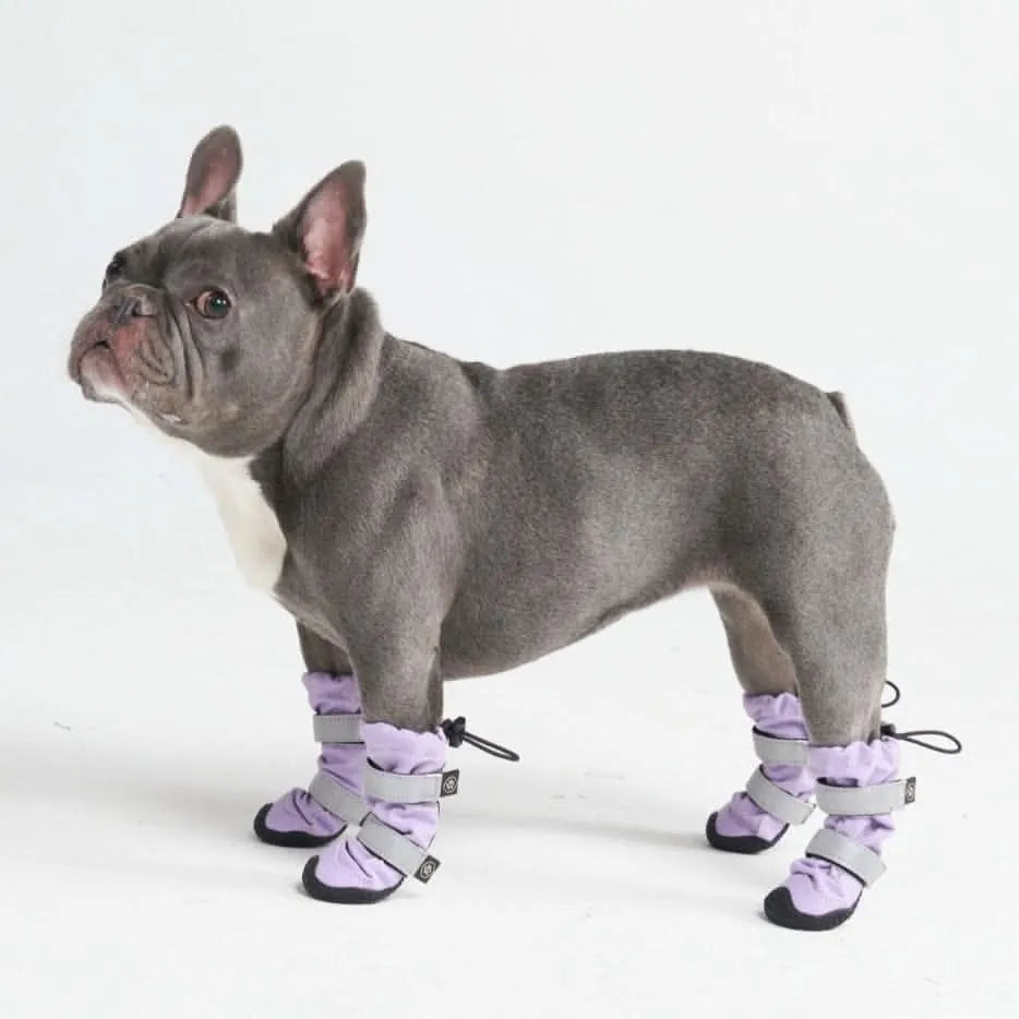 Dog Rainboots, Waterproof Dog Shoes - Lilac